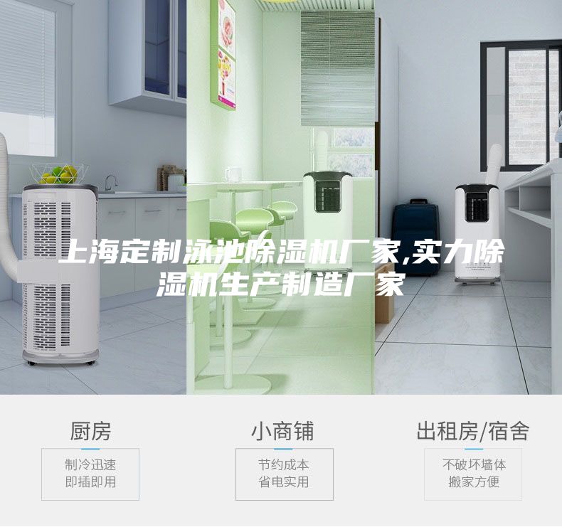 上海定制泳池除濕機(jī)廠家,實(shí)力除濕機(jī)生產(chǎn)制造廠家