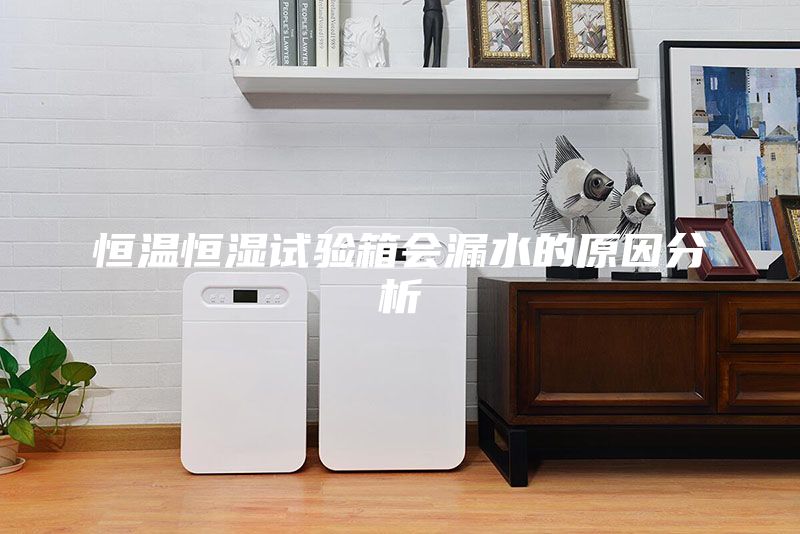 恒溫恒濕試驗(yàn)箱會(huì)漏水的原因分析