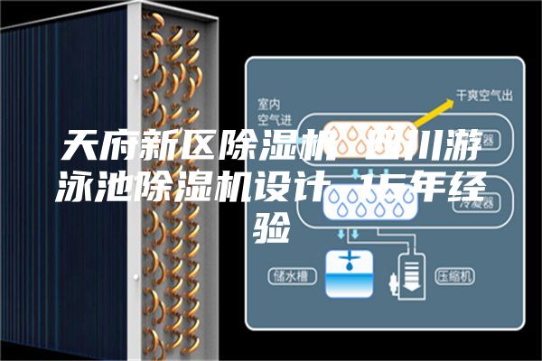 天府新區(qū)除濕機 四川游泳池除濕機設(shè)計 15年經(jīng)驗