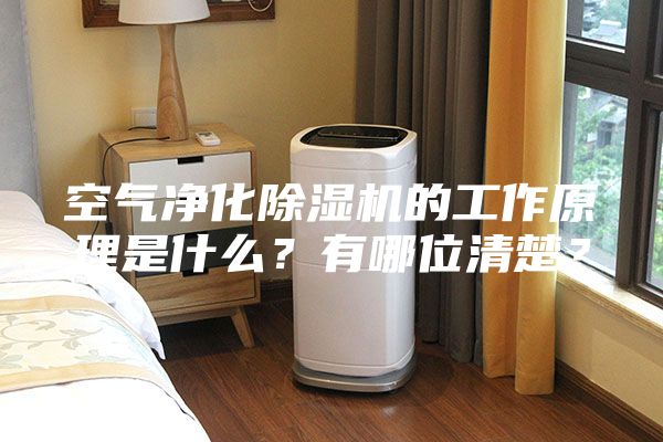 空氣凈化除濕機的工作原理是什么？有哪位清楚？