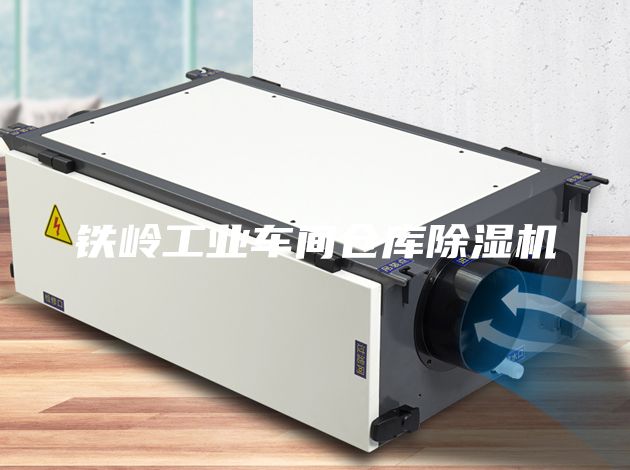 鐵嶺工業(yè)車間倉(cāng)庫(kù)除濕機(jī)