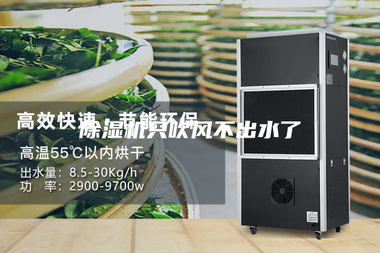 除濕機只吹風(fēng)不出水了