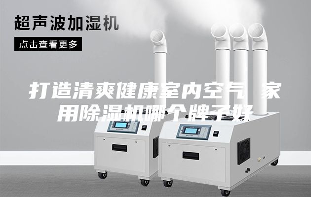 打造清爽健康室內(nèi)空氣 家用除濕機哪個牌子好