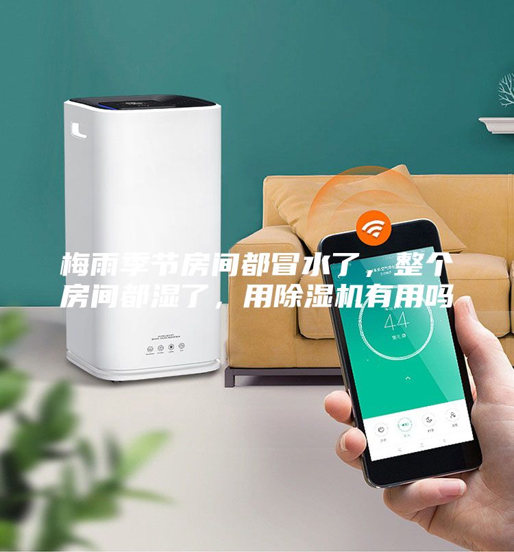 梅雨季節(jié)房間都冒水了,整個房間都濕了,用除濕機有用嗎
