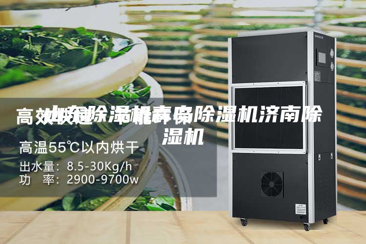 山東除濕機(jī)青島除濕機(jī)濟(jì)南除濕機(jī)