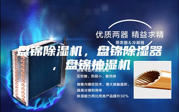 盤錦除濕機(jī)，盤錦除濕器，盤錦抽濕機(jī)
