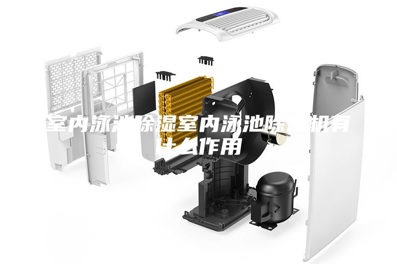 室內(nèi)泳池除濕室內(nèi)泳池除濕機有什么作用
