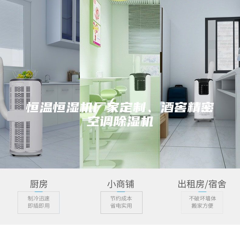 恒溫恒濕機廠家定制、酒窖精密空調除濕機