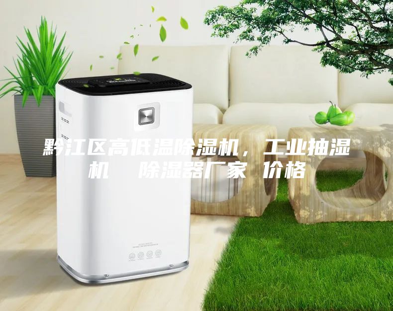 黔江區(qū)高低溫除濕機(jī),工業(yè)抽濕機(jī) 除濕器廠家 價格