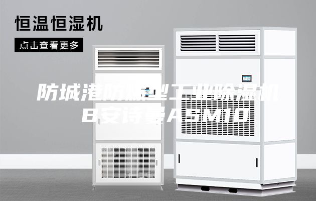 防城港防爆型工業(yè)除濕機(jī) B安詩曼ASM10