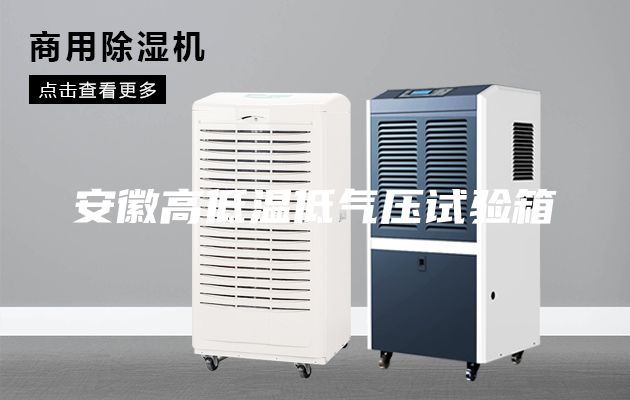 安徽高低溫低氣壓試驗(yàn)箱