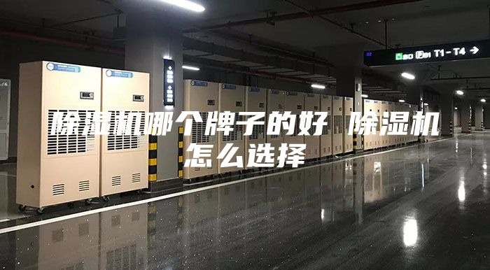除濕機(jī)哪個(gè)牌子的好 除濕機(jī)怎么選擇