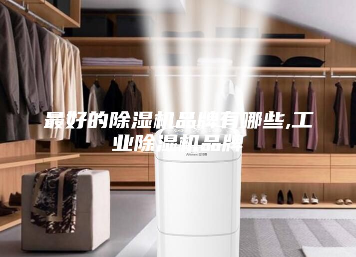 最好的除濕機品牌有哪些,工業除濕機品牌