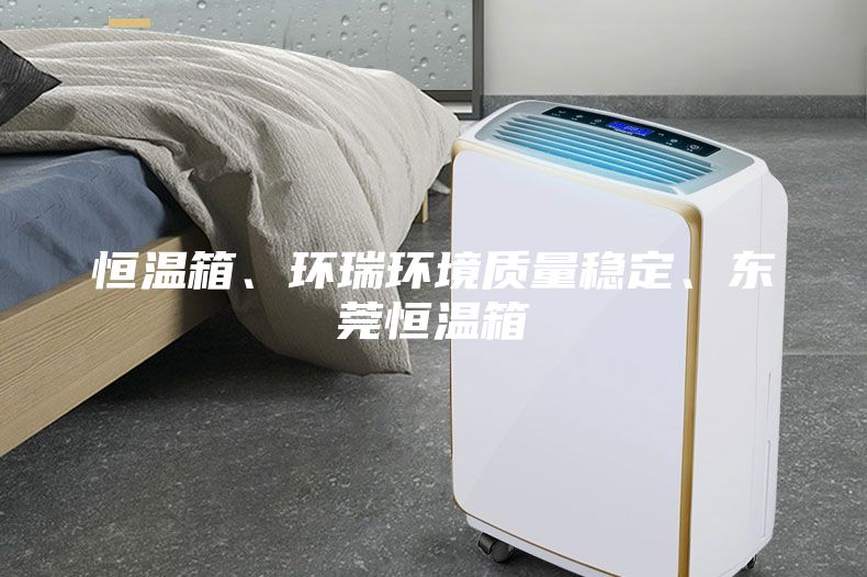 恒溫箱、環瑞環境質量穩定、東莞恒溫箱