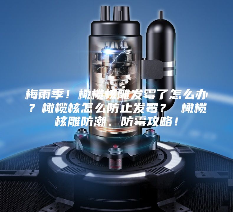 梅雨季！橄欖核雕發(fā)霉了怎么辦？橄欖核怎么防止發(fā)霉？ 橄欖核雕防潮、防霉攻略！