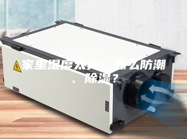 家里濕度太大，怎么防潮、除濕？