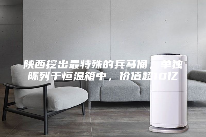 陜西挖出最特殊的兵馬俑,單獨陳列于恒溫箱中,價值超10億