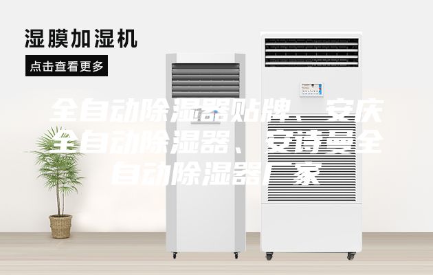 全自動(dòng)除濕器貼牌、安慶全自動(dòng)除濕器、安詩(shī)曼全自動(dòng)除濕器廠家