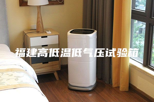 福建高低溫低氣壓試驗箱