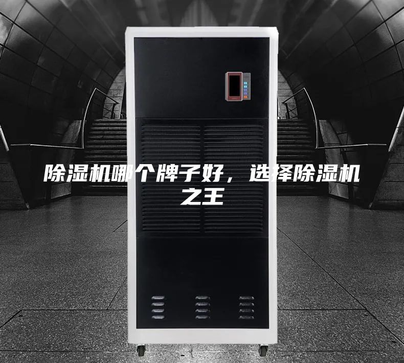 除濕機哪個牌子好,選擇除濕機之王