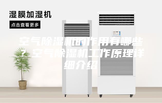 空氣除濕機的作用有哪些?空氣除濕機工作原理詳細介紹