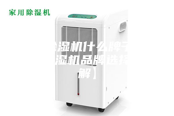 家用除濕機(jī)什么牌子好 家用除濕機(jī)品牌選擇【詳解】