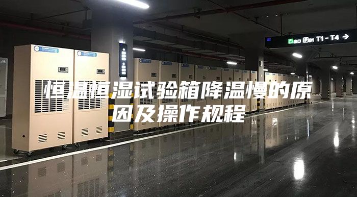 恒溫恒濕試驗箱降溫慢的原因及操作規(guī)程