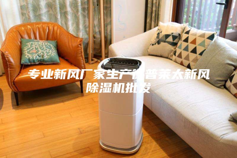 專業(yè)新風廠家生產德普萊太新風除濕機批發(fā)