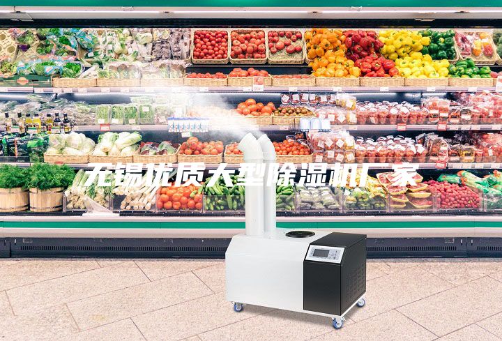無錫優(yōu)質大型除濕機廠家