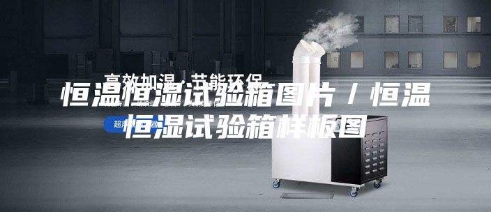 恒溫恒濕試驗(yàn)箱圖片／恒溫恒濕試驗(yàn)箱樣板圖