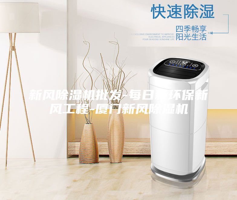 新風除濕機批發(fā)-每日新環(huán)保新風工程-廈門新風除濕機