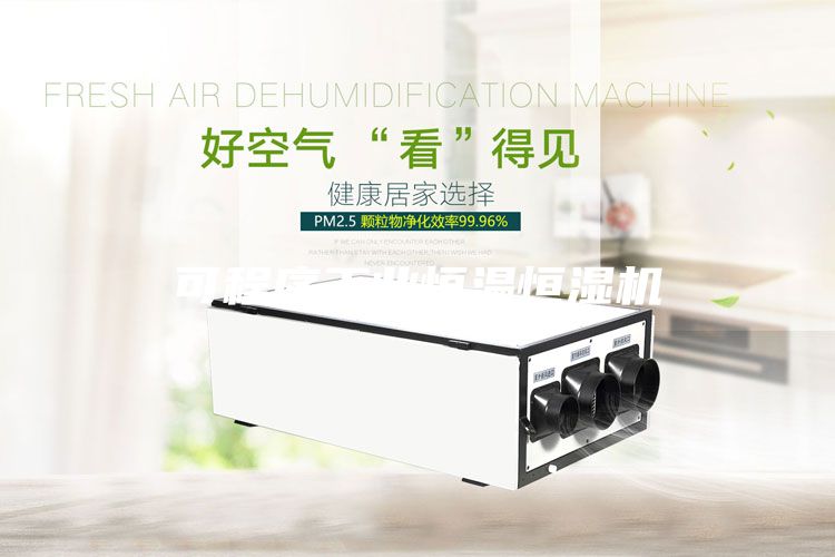 可程序工業(yè)恒溫恒濕機