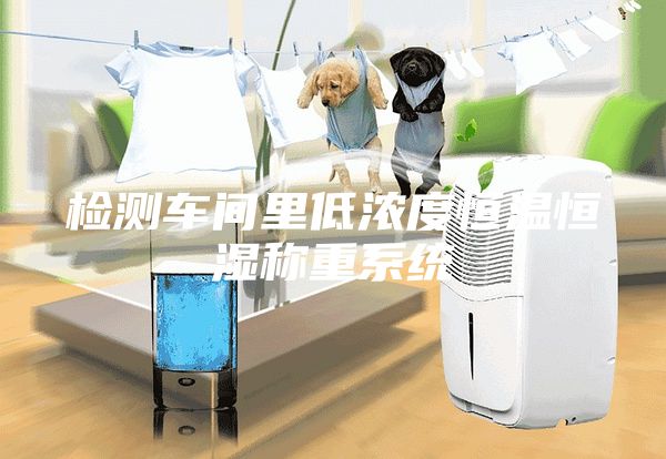 檢測車間里低濃度恒溫恒濕稱重系統