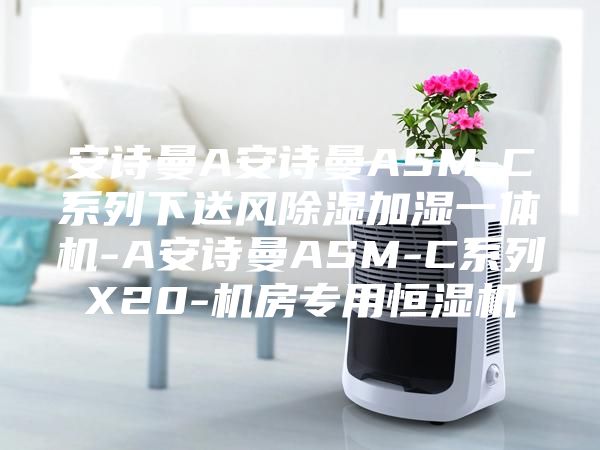 安詩(shī)曼A安詩(shī)曼ASM-C系列下送風(fēng)除濕加濕一體機(jī)-A安詩(shī)曼ASM-C系列X20-機(jī)房專用恒濕機(jī)