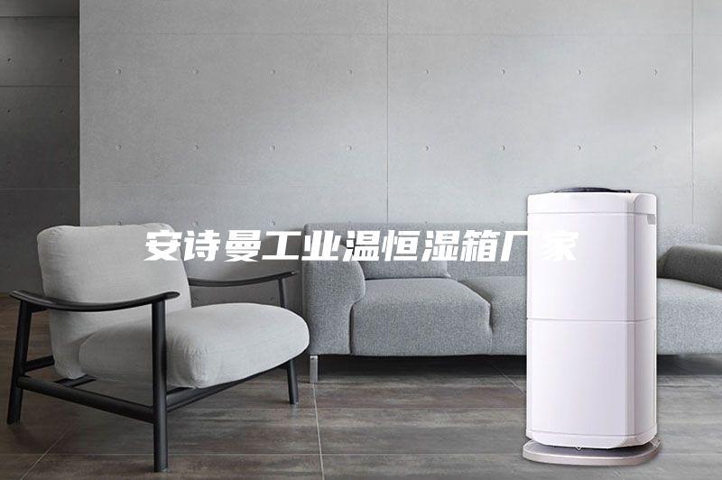安詩曼工業(yè)溫恒濕箱廠家