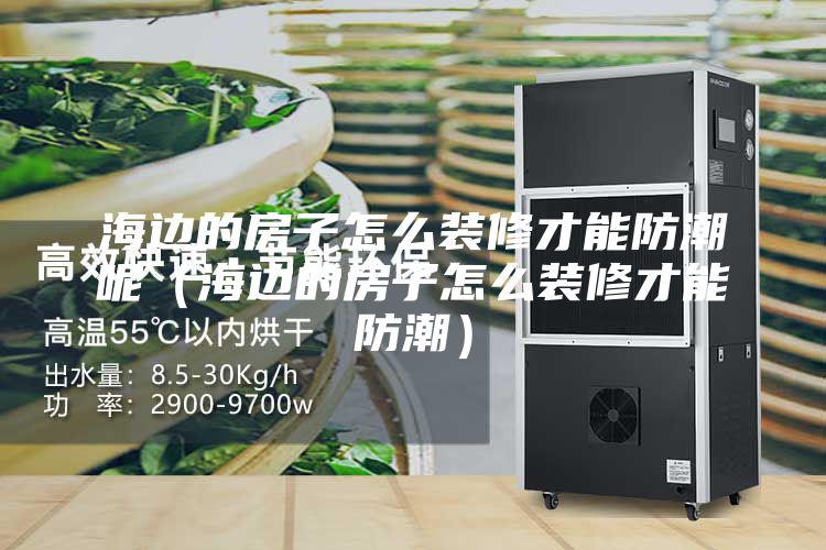 海邊的房子怎么裝修才能防潮呢（海邊的房子怎么裝修才能防潮）