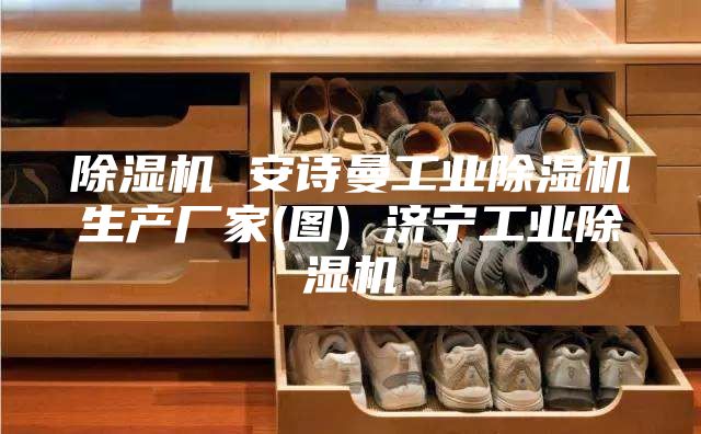 除濕機 安詩曼工業(yè)除濕機生產(chǎn)廠家(圖) 濟寧工業(yè)除濕機