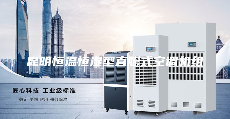 昆明恒溫恒濕型直膨式空調(diào)機(jī)組
