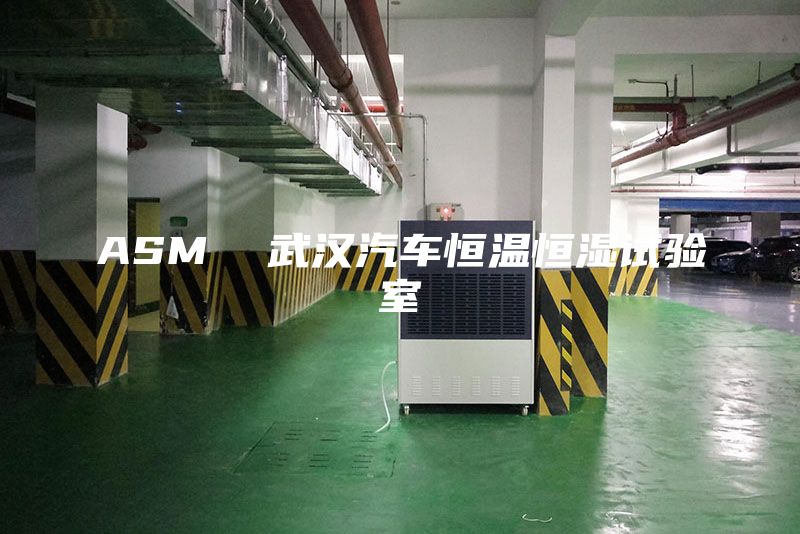ASM  武漢汽車恒溫恒濕試驗(yàn)室