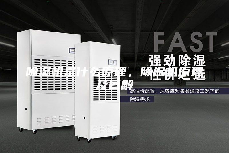 除濕機(jī)是什么原理，除濕機(jī)原理及圖解