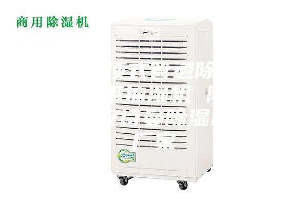 武漢吊頂式管道除濕機，游泳館用抽濕機 除濕防潮設備安詩曼除濕機生產廠家