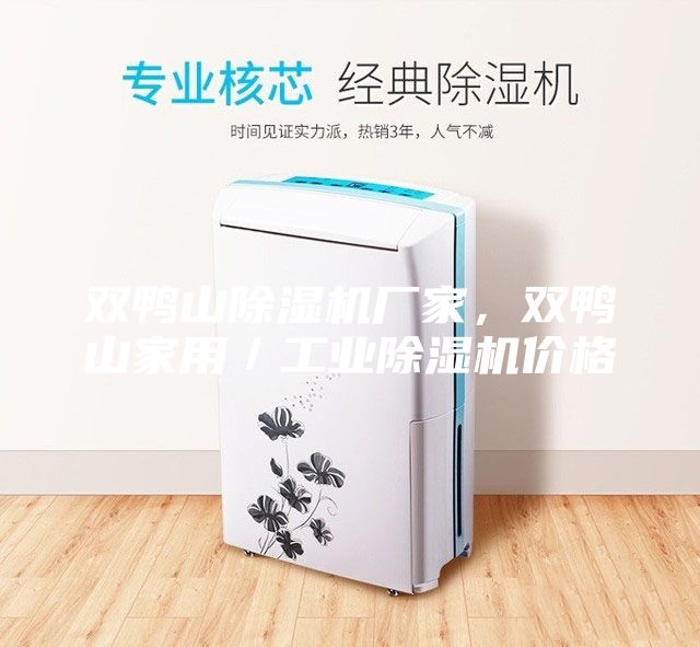 雙鴨山除濕機(jī)廠家，雙鴨山家用／工業(yè)除濕機(jī)價格