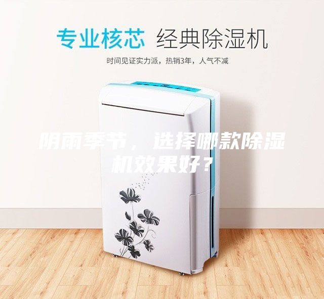 陰雨季節(jié)，選擇哪款除濕機(jī)效果好？