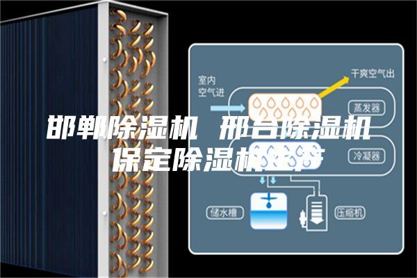 邯鄲除濕機 邢臺除濕機 保定除濕機生產