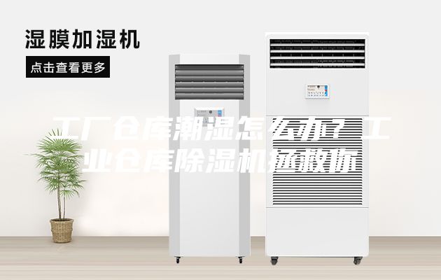 工廠倉(cāng)庫(kù)潮濕怎么辦？工業(yè)倉(cāng)庫(kù)除濕機(jī)拯救你