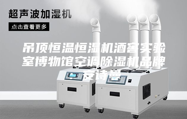 吊頂恒溫恒濕機(jī)酒窖實(shí)驗(yàn)室博物館空調(diào)除濕機(jī)品牌：安詩(shī)曼