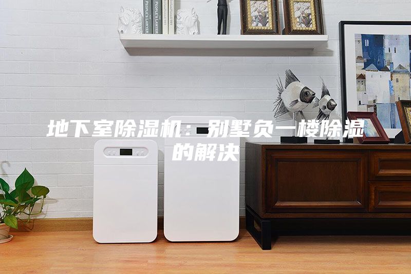 地下室除濕機：別墅負一樓除濕的解決
