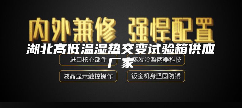 湖北高低溫濕熱交變試驗箱供應(yīng)廠家