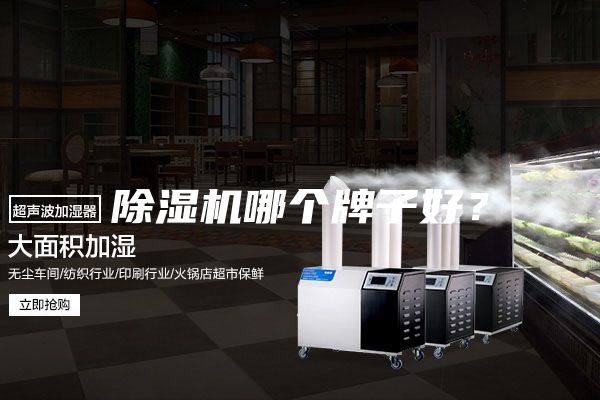 除濕機(jī)哪個(gè)牌子好？