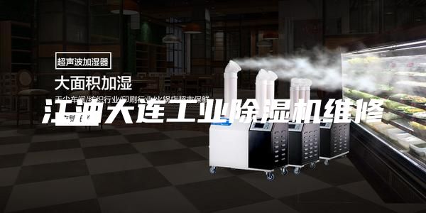 江油大連工業(yè)除濕機(jī)維修